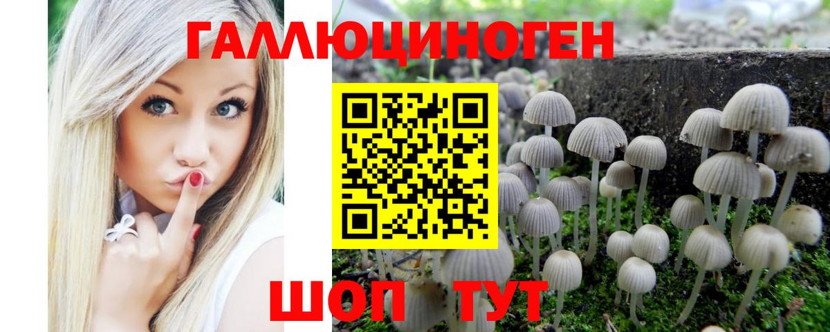 Псилоцибиновые грибы GOLDEN TEACHER  Вход с VPN  сколько стоит  Курчатов  Псилоцибиновые грибы Psilocybine cubensis 
